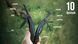Мультитул Multi Tool Ganzo G109 G109 фото 25